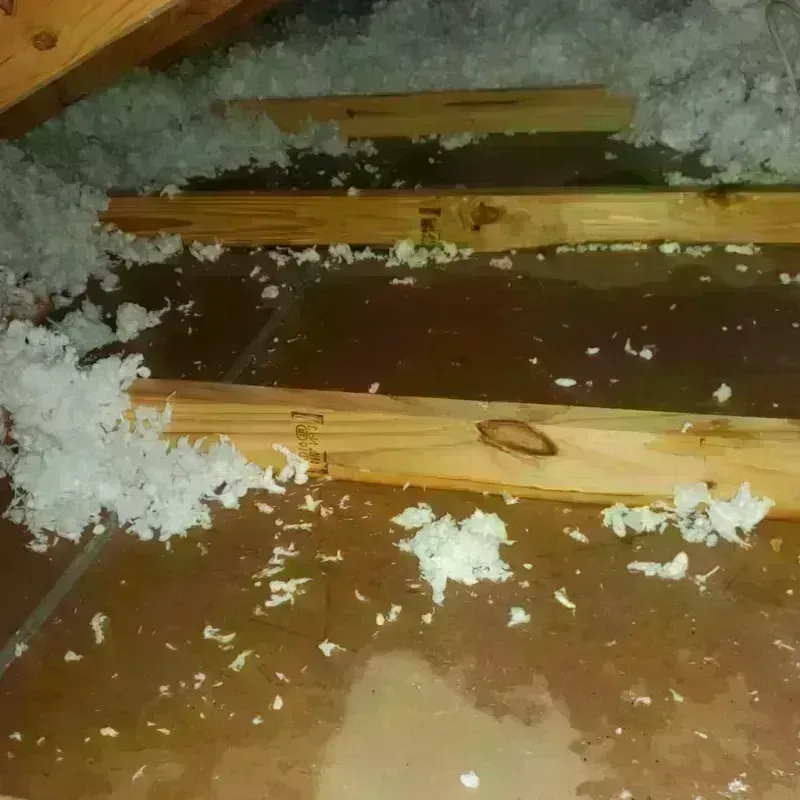 Attic Water Damage in Cowan, TN